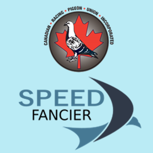 speed_fancier